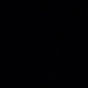 Meet your Posher, Tylor